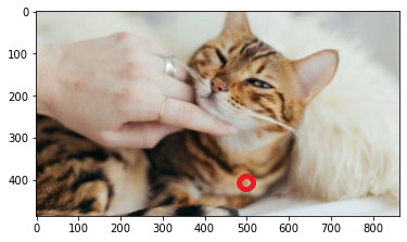 Featured image of post 【OpenCV】13 - 運用 OpenCV 在圖片上寫文字、查色碼、顯示色碼顏色 (cv2.putText)