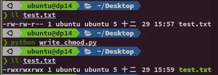 【Python 檔案處理 #4】在 python 中利用 os.chmod 更改檔案的權限 (chmod 777)