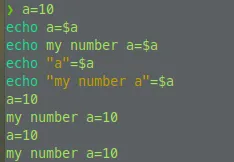 【Bash 基本語法 #1】echo，bash 的 hello world 基本教學，開始自動化程式的第一堂課 / 撰寫腳本，利用 echo 顯示變數