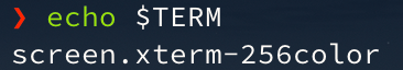 Featured image of post 【Linux 終端機操作 #2】終端機小技巧 - default start screen treminal，無縫接軌任何電腦，繼續使用同一個 terminal 殘留下來的訊息