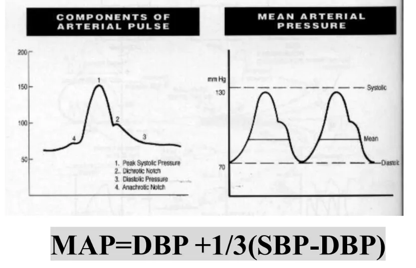 【重症醫學】重症病患的血流動力學監測 (Hemodynamic monitoring in critically ill patients)