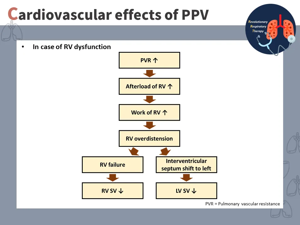 【重症醫學】正壓通氣對心血管系統的影響 (The effect of positive pressure ventilation on the cardiovascular system)