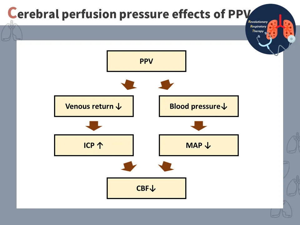 【重症醫學】正壓通氣對心血管系統的影響 (The effect of positive pressure ventilation on the cardiovascular system)