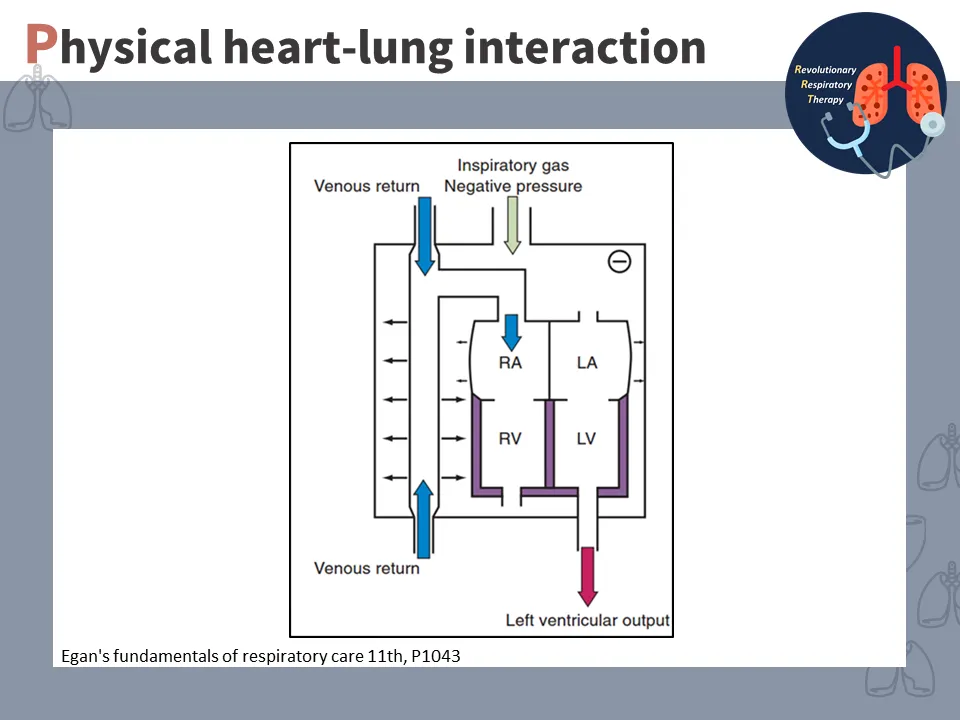 【重症醫學】正壓通氣對心血管系統的影響 (The effect of positive pressure ventilation on the cardiovascular system)
