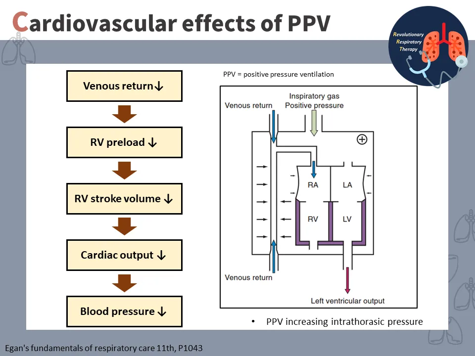 【重症醫學】正壓通氣對心血管系統的影響 (The effect of positive pressure ventilation on the cardiovascular system)