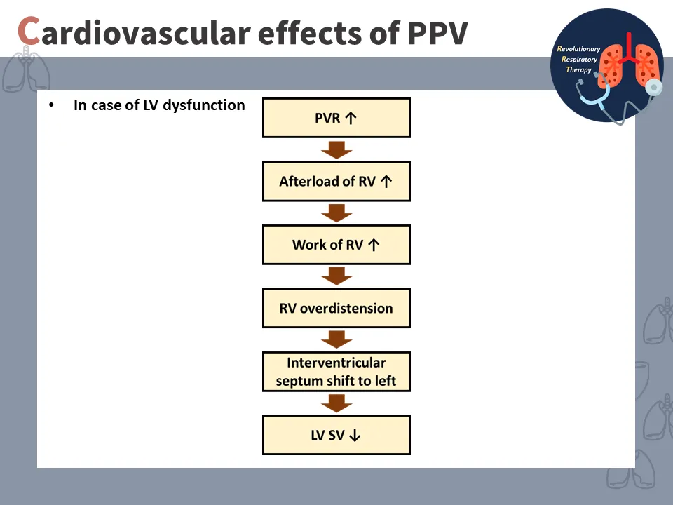 【重症醫學】正壓通氣對心血管系統的影響 (The effect of positive pressure ventilation on the cardiovascular system)