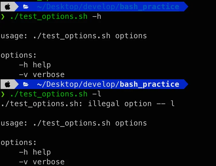 【Bash 基本語法 #7】bash input options, 類似 argparse 的 bash script 實作範例程式碼
